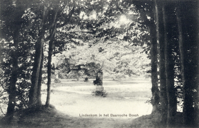 7962 Gezicht op de vijver de Lindenkom in het Baarnse Bos te Baarn.